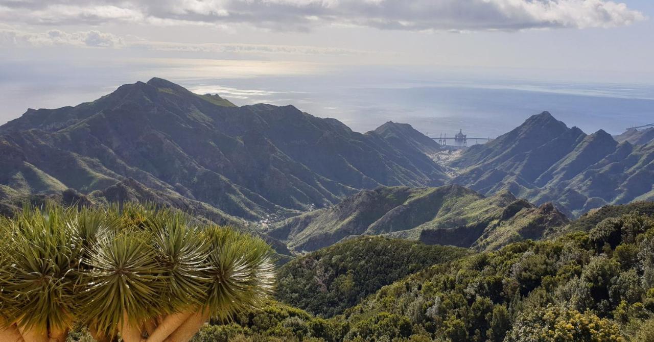 Santa Cruz De Tenerife Toscal Екстер'єр фото