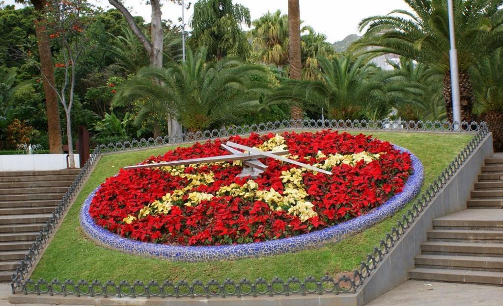 Santa Cruz De Tenerife Toscal Екстер'єр фото
