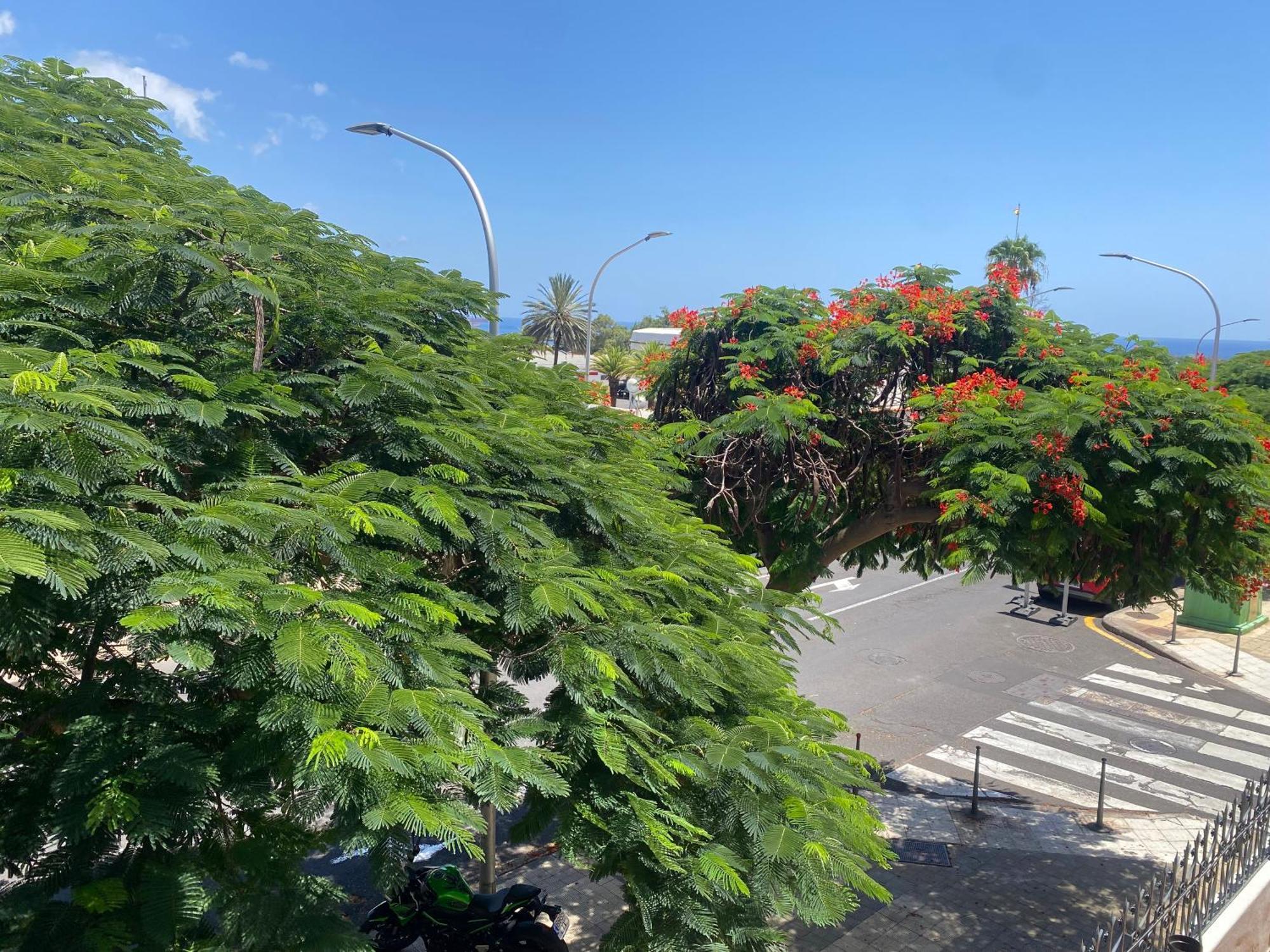 Santa Cruz De Tenerife Toscal Екстер'єр фото